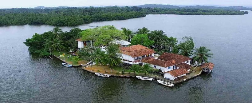 Madu River Boat Tour and Cinnamon Garden visit - Who will enjoy this boat safari?