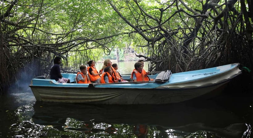 Madu River Boat Tour and Cinnamon Garden visit - Why the mangroves deserve your attention