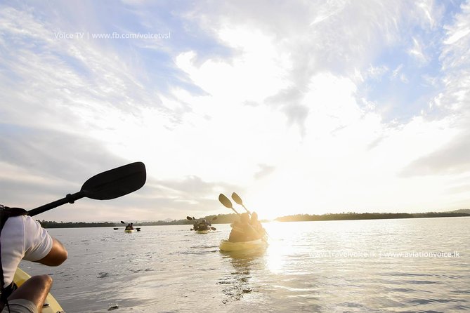 Madu River Sunrise Mangrove Kayaking from Bentota - Key points before you book