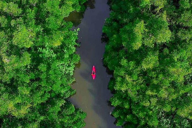 Madu River Sunrise Mangrove Kayaking from Bentota - What you eat during the paddle