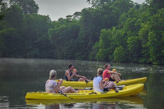 Madu River Sunrise Mangrove Kayaking from Bentota - Who will enjoy this morning most?