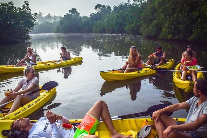 Madu River Sunrise Mangrove Kayaking from Bentota - Booking, cancellations, and the practical details