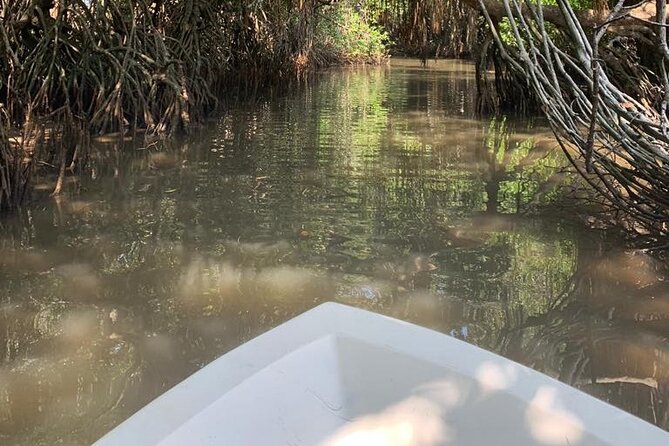 Mangrove Adventure - Getting the Most from the Hour