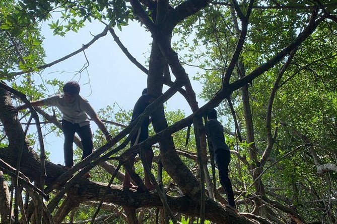 Mangrove Adventure - A Note on Guide Communication