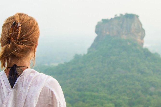 Minneriya Elephant Safari wth Sigiriya & Dambulla Cave Temples Full Day Tour - The driver-guide and private format