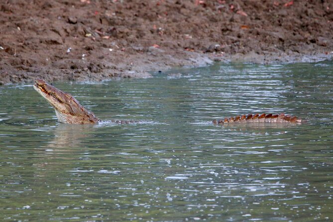 Minneriya Half Day Safari - What $33 includes, and where the value lies