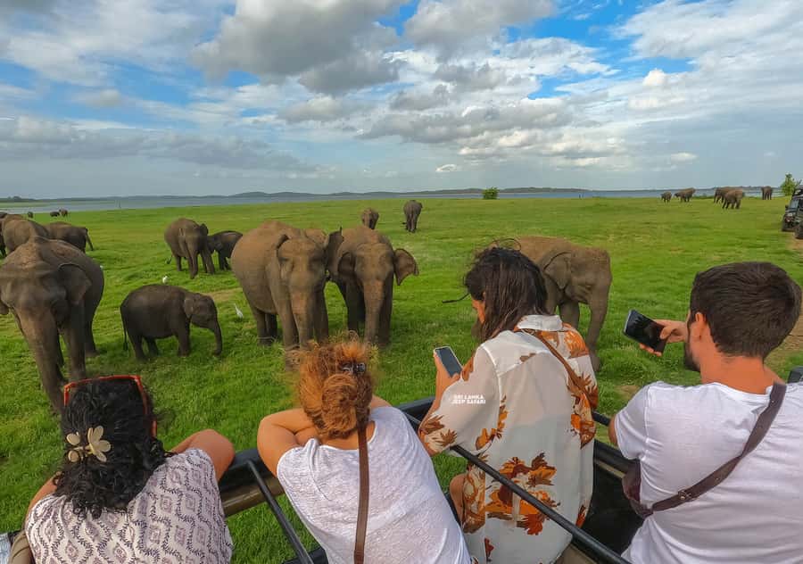 Minneriya: Minneriya National Park Private Elephant Safari - Minneriya or Kaudulla, and why the choice matters