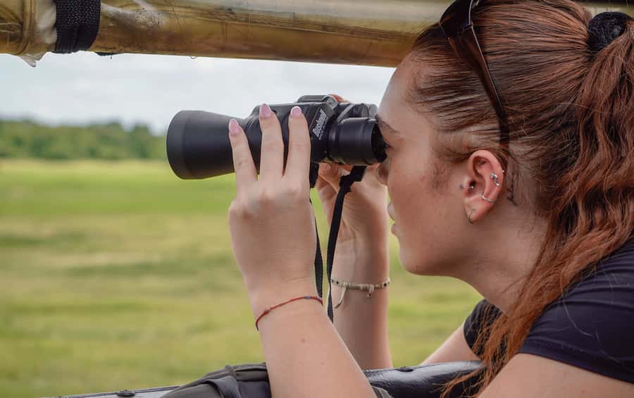 Minneriya: Minneriya National Park Private Elephant Safari - The private jeep and the value of space