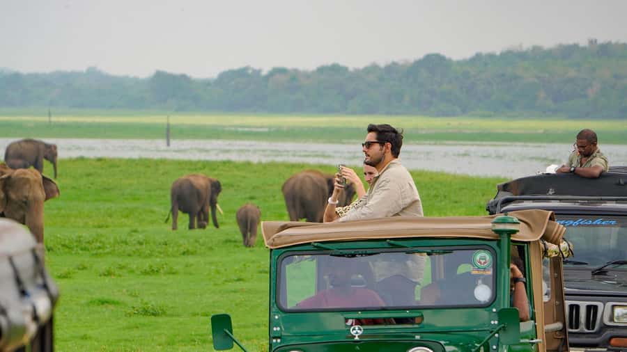 Minneriya: Minneriya National Park Private Evening Safari - Why Minneriya’s elephant gathering matters