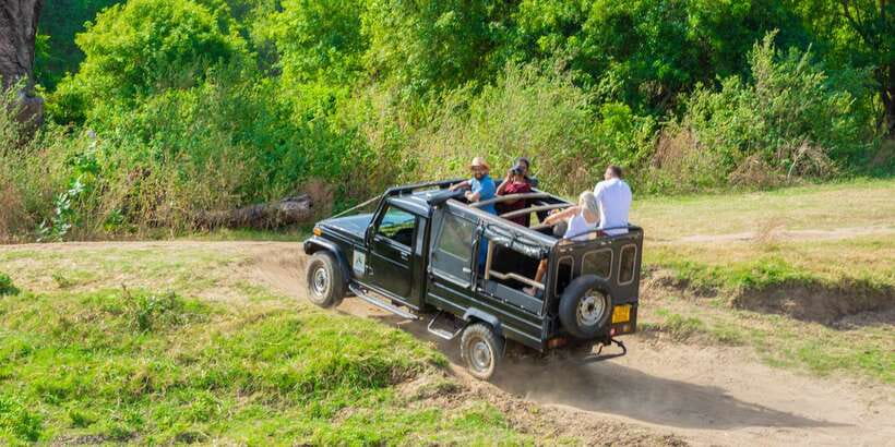 Minneriya: Minneriya National Park Private Safari - Who should book this safari