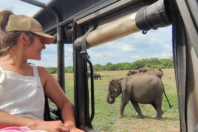 Minneriya National Park Elephant Jeep Safari Private Tour - Key points at a glance