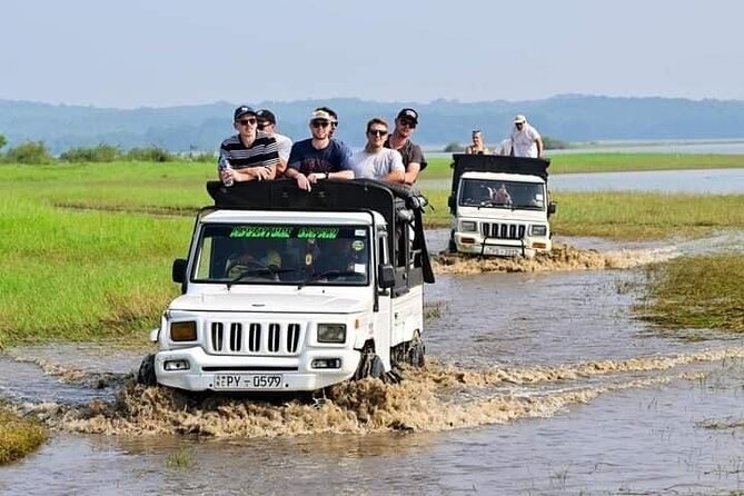 Minneriya National Park halfday Safari - The elephant gathering, and the problem of too many jeeps