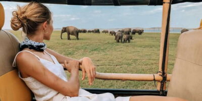 Minneriya National Park Safari in a 4×4 Vehicle