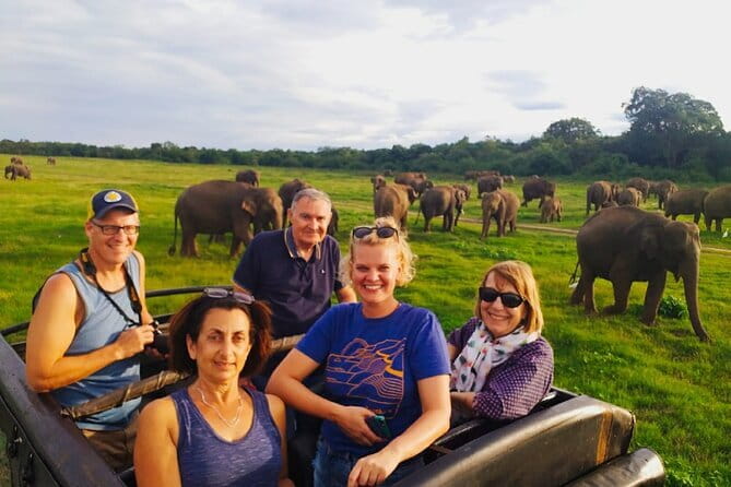 Minneriya National Park Safari [private , full package] - Key points to know before you book
