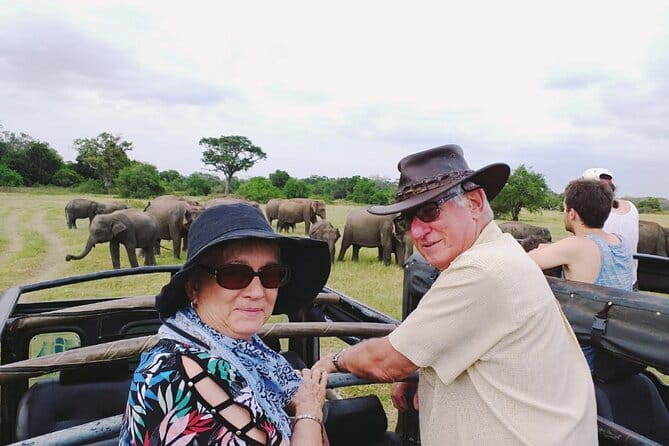 Minneriya National Park Safari [private , full package] - Private transport from Dambulla