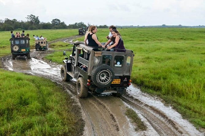 Minneriya National Park Safari [private , full package] - Who will get the most from this safari?