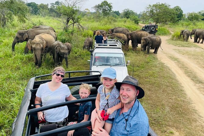 Minneriya National Park Safari - Private Jeep with Hotel Pickup - Key points to know before you book