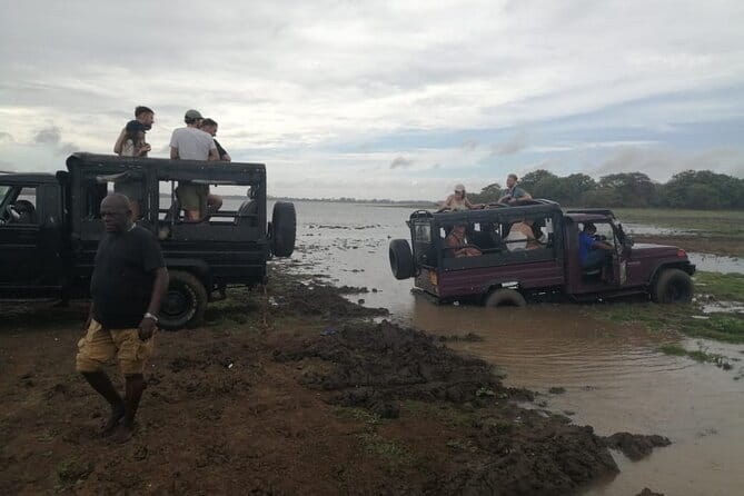 Minneriya National Park Safari - Private Jeep with Hotel Pickup - Other animals to watch for