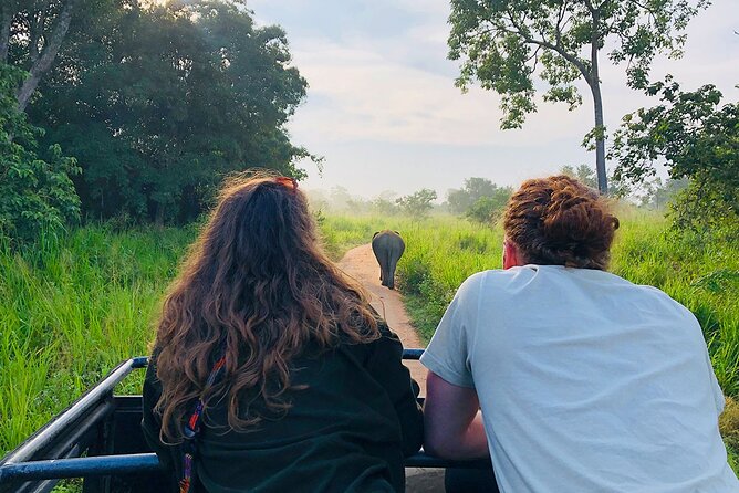Minneriya National park Safari Sri Lanka - What you might see beyond the elephants
