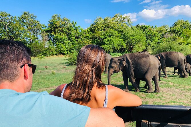 Minneriya National park Safari Sri Lanka - Why the guide can shape the whole outing