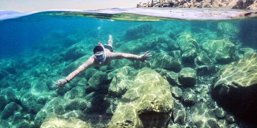 Mirissa: Snorkeling Experience with Turtles - Why the turtles make this Mirissa outing special