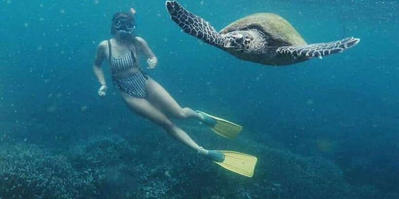 Mirissa: Snorkeling Experience with Turtles - Is $29 a fair price for one hour?