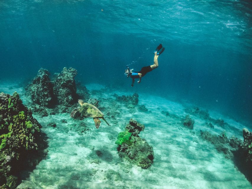 Mirissa: Snorkeling Experience with Turtles - How to make the most of your time in the water