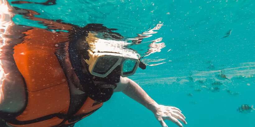 Mirissa: Snorkeling Experience with Turtles - The one-hour schedule, from tuk-tuk to reef