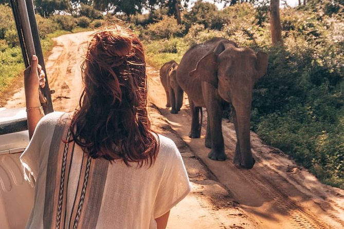 Mirissa to Ella Shuttle & Udawalawe Safari Drive with Breakfast - The 4x4 safari vehicle and group size