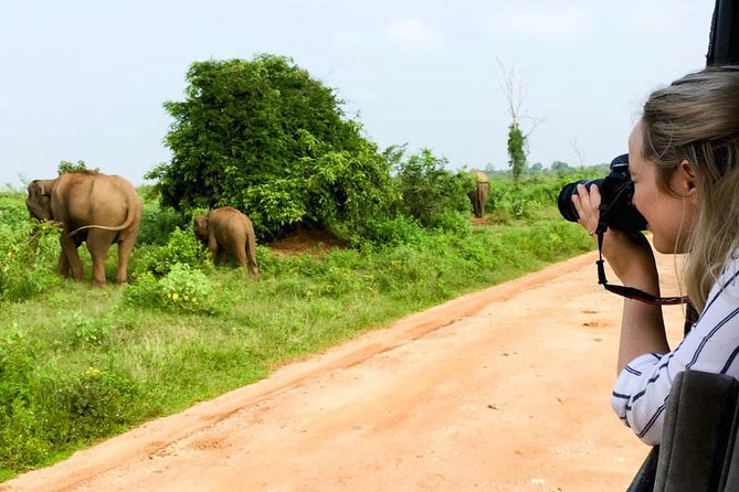 Mirissa to Ella Shuttle & Udawalawe Safari Drive with Breakfast - What the $75 price really covers