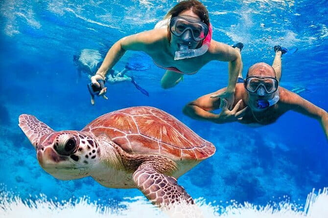 Mirissa Unforgettable Snorkeling Experience with Turtles - Key points before you book