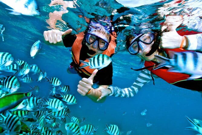 Mirissa Unforgettable Snorkeling Experience with Turtles - Why the private format matters