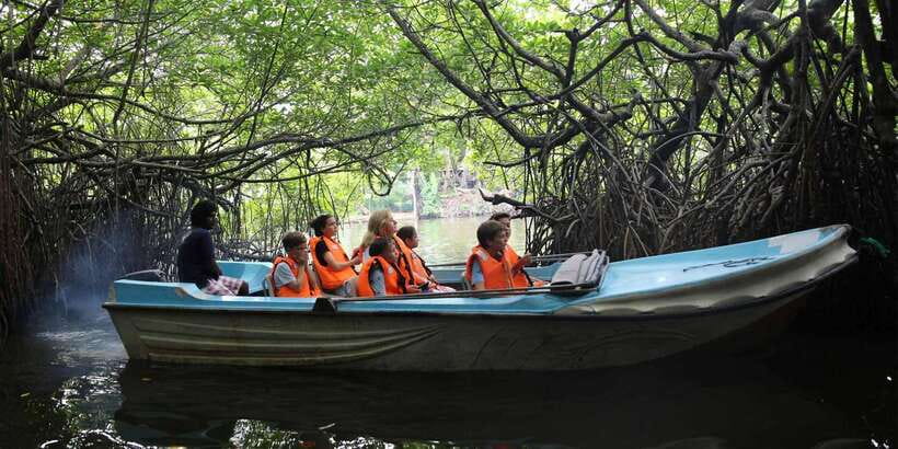 Mirissa/Weligama/Galle: Galle & Bentota Coastal Day Tour - Guides, comfort, and the private format