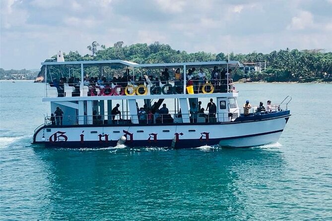 Mirissa Whale & Dolphin Watching Cruise with Geeth’s Crew - Key points to know before booking
