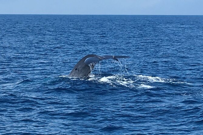 Mirissa Whale & Dolphin Watching Cruise with Geeth’s Crew - Safety equipment and sea sickness planning
