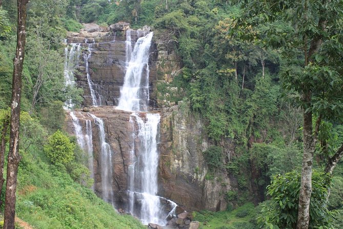 Mr.TukTuk Nuwara Eliya - Blue Field, Kingswood, and the tea factory question