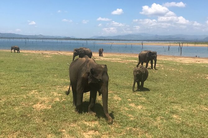 Multi Day Private Tour Around Sri Lanka with our Personal Driver - A private road trip with room to change the plan