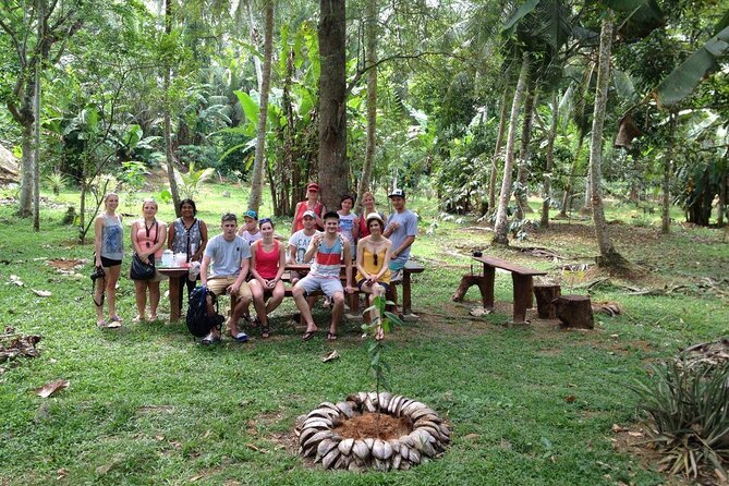 Nandana Tea Walking Tour in Sri Lanka - Comparing seven teas at the tasting