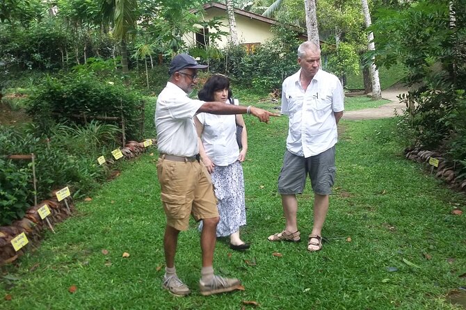 Nandana Tea Walking Tour in Sri Lanka - The optional banana-leaf meal