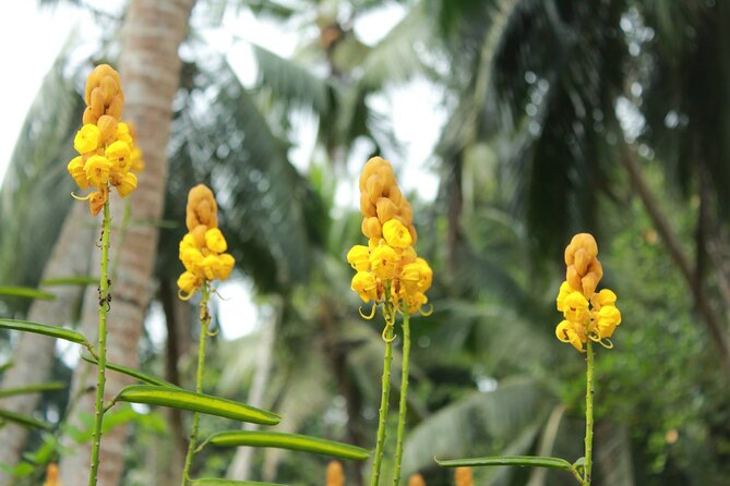 Nandana Tea Walking Tour in Sri Lanka - How much time and planning you need