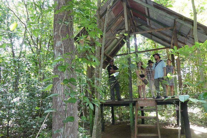 Nandana Tea Walking Tour in Sri Lanka - What the $78 price really means