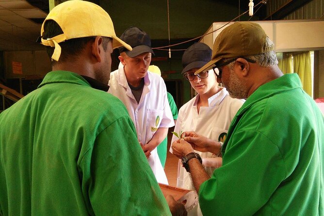 Nandana Tea Walking Tour in Sri Lanka - Who will enjoy Nandana most