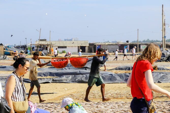 Negombo City Tour by Tuk Tuk - The Dry-Fish Beach: A Stronger Taste of Local Life