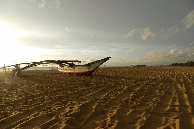 Negombo Day Tour - Negombo Fish Market: the city at work