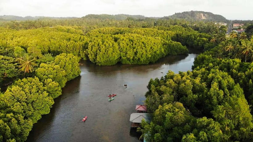 Negombo: Guided Kayaking Tour in the Lagoon - Starting at Captain’s Landing