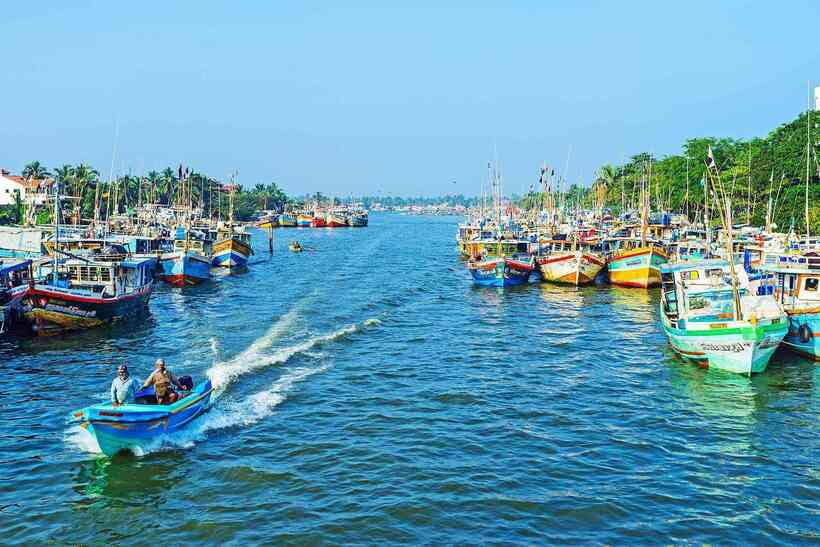 Negombo: Hamilton Canal to Colombo by Boat via Muthurajawela - From the Dutch Canal to Negombo Lagoon