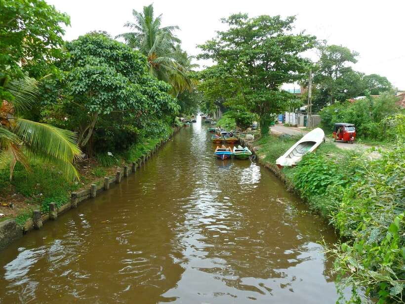 Negombo: Hamilton Canal to Colombo by Boat via Muthurajawela - Crossing the Working Waters of Negombo Lagoon