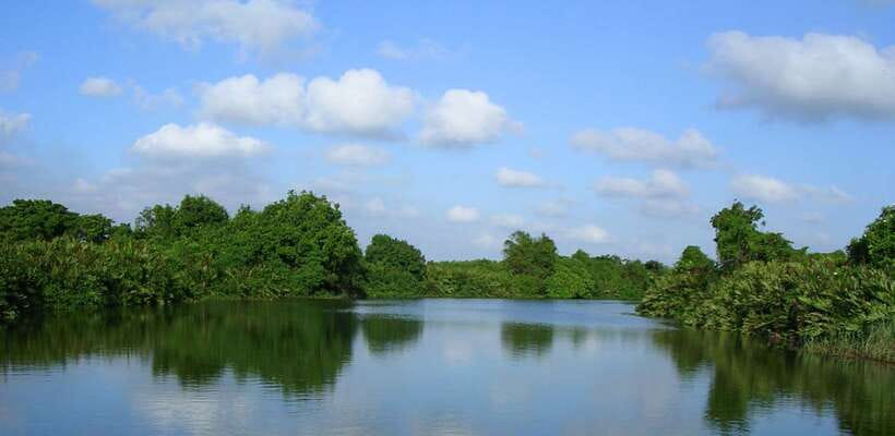Negombo: Hamilton Canal to Colombo by Boat via Muthurajawela - Should You Book This Negombo Boat Trip?