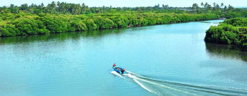 Negombo: Hamilton Canal to Colombo by Boat via Muthurajawela - Entering Muthurajawela Wetland After the Lagoon