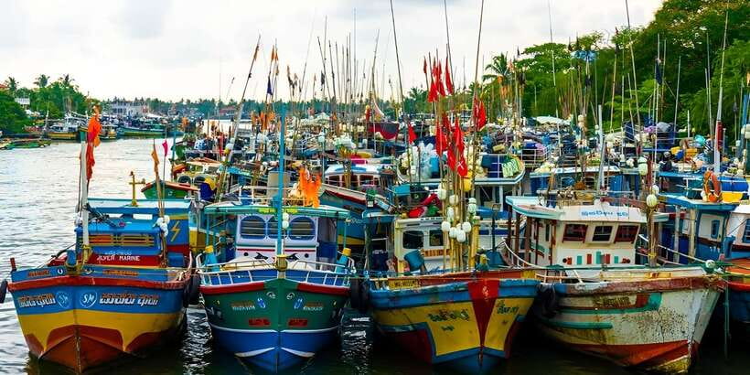 Negombo Heritage Walking Tour - Reading Negombo through its fruit and vegetable market